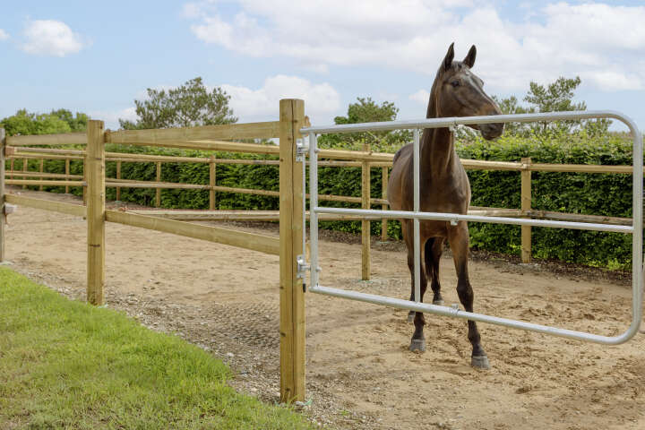 AKO Verstellbares Weidetor